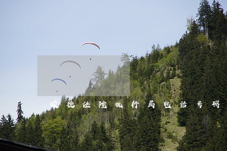 顺德法院执行局电话号码