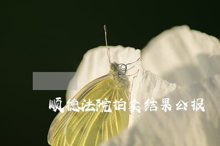 顺德法院拍卖结果公报 顺德法院拍卖结果公报