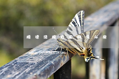 顺德法院拍卖网乐从房 顺德法院拍卖网乐从房