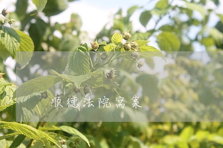 顺德法院窝案 顺德法院窝案