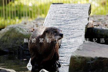 顺德紧盯土地领域违纪违法问题 顺德紧盯土地领域违纪违法问题