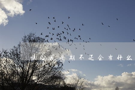 顺心花逾期不还会有什么后果 顺心花逾期不还会有什么后果