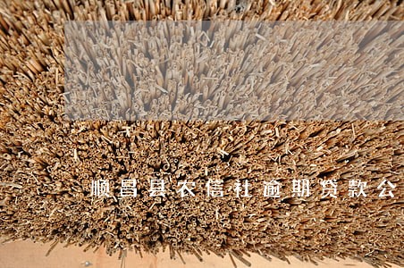 顺昌县农信社逾期贷款公告