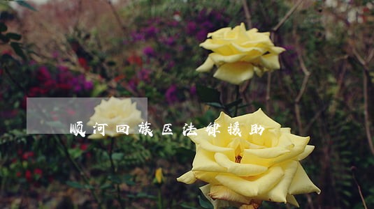顺河回族区法律援助 顺河回族区法律援助
