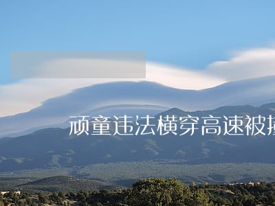 顽童违法横穿高速被撞 顽童违法横穿高速被撞
