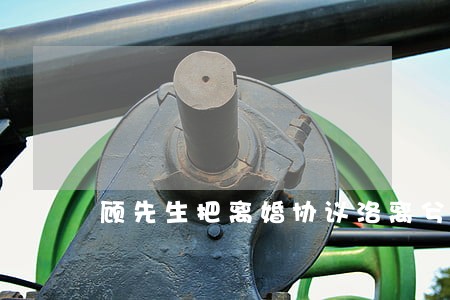顾先生把离婚协议洛离兮 顾先生把离婚协议洛离兮