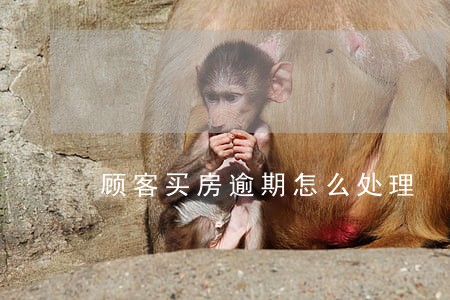 顾客买房逾期怎么处理