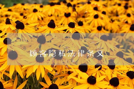 顾客隐私法律条文 顾客隐私法律条文
