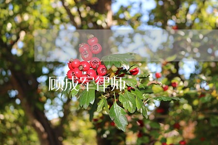 顾成军律师 顾成军律师