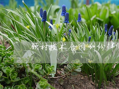 顾村技术合同纠纷律师 顾村技术合同纠纷律师