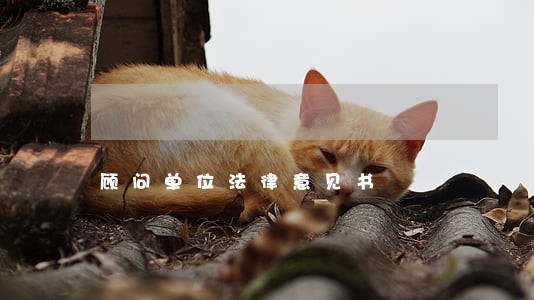 顾问单位法律意见书
