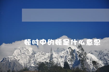 顿时中的顿是什么意思 顿时中的顿是什么意思