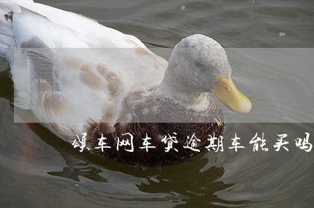 颂车网车贷逾期车能买吗 颂车网车贷逾期车能买吗