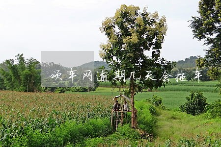 颂车网逾期几天会拖车