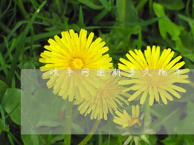 颂车网逾期多久拖车