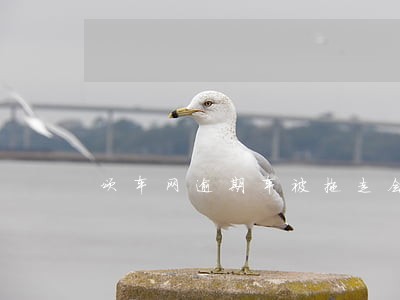 颂车网逾期车被拖走会收拖车费吗