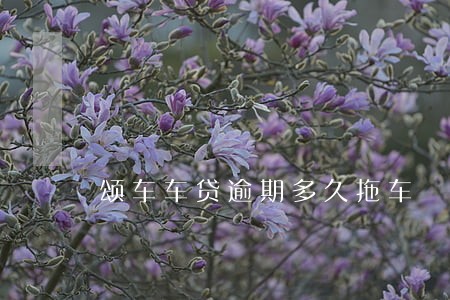 颂车车贷逾期多久拖车 颂车车贷逾期多久拖车