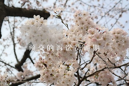 预交的诉讼费逾期