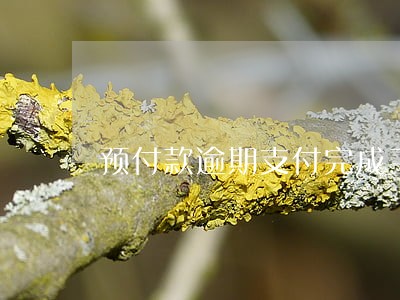 预付款逾期支付完成工期延误