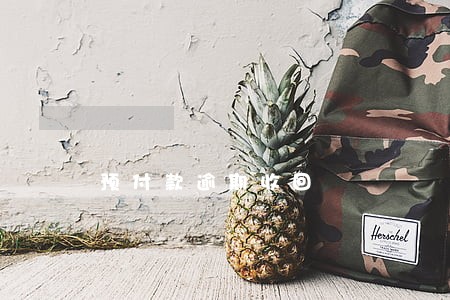 预付款逾期收回