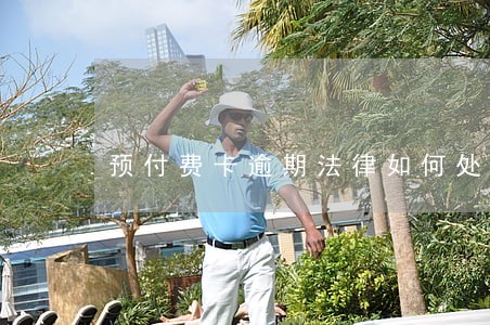 预付费卡逾期法律如何处理