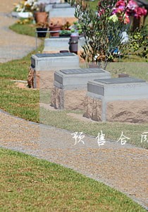 预售合同逾期