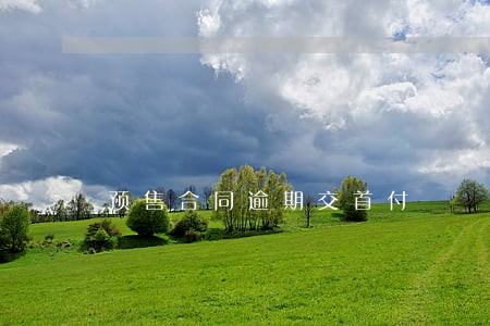 预售合同逾期交首付