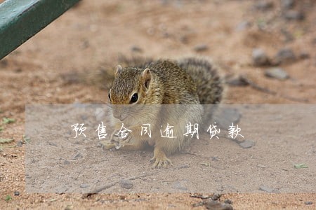 预售合同逾期贷款