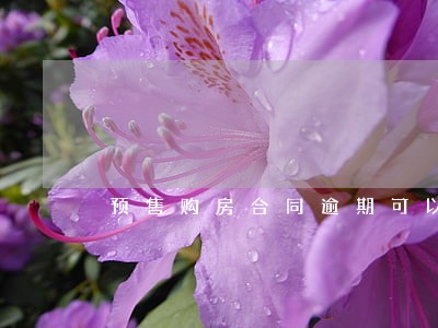 预售购房合同逾期可以不卖
