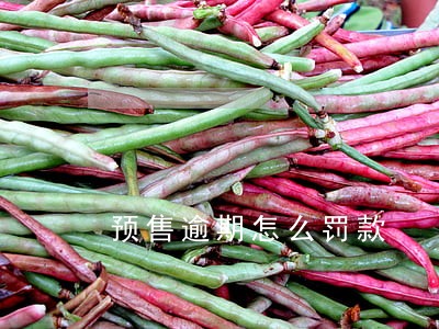 预售逾期怎么罚款