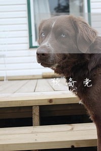 预备党员政审家里有逾期欠款