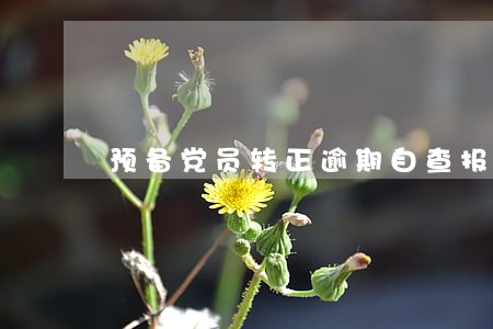 预备党员转正逾期自查报告