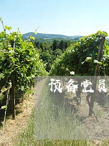 预备党员逾期一年没有转正