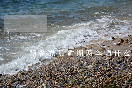 预备党员逾期两年填什么