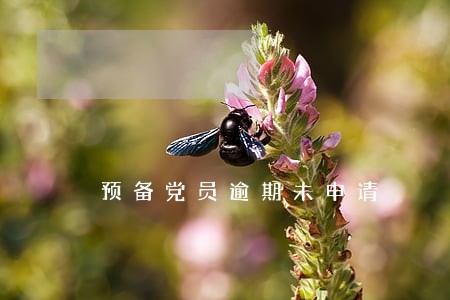 预备党员逾期未申请 预备党员逾期未申请