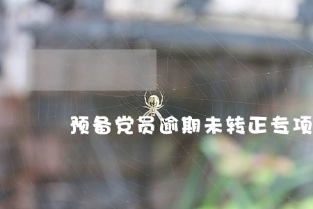 预备党员逾期未转正专项报告