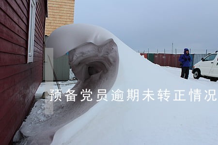 预备党员逾期未转正情况证明 预备党员逾期未转正情况证明