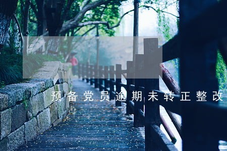 预备党员逾期未转正整改情况 预备党员逾期未转正整改情况