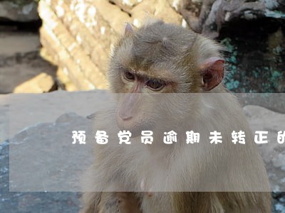 预备党员逾期未转正的报告 预备党员逾期未转正的报告