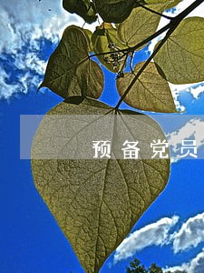 预备党员逾期转正会被取消 预备党员逾期转正会被取消