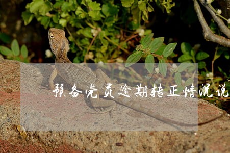 预备党员逾期转正情况说明