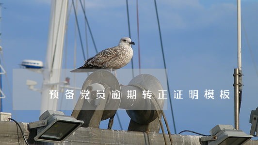 预备党员逾期转正证明模板