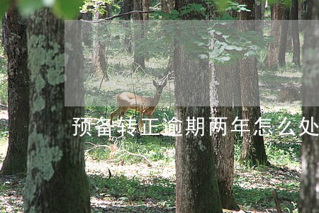 预备转正逾期两年怎么处理 预备转正逾期两年怎么处理