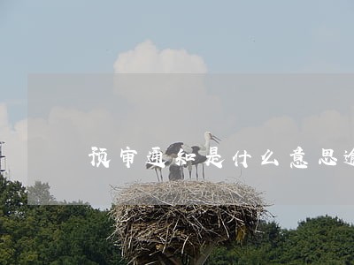 预审通知是什么意思逾期 预审通知是什么意思逾期