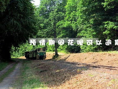 预情期间花呗可以逾期吗 预情期间花呗可以逾期吗