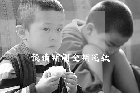 预情期间逾期还款 预情期间逾期还款