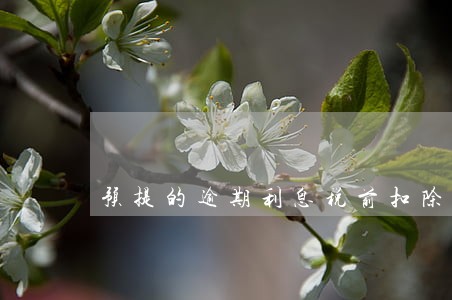 预提的逾期利息税前扣除 预提的逾期利息税前扣除