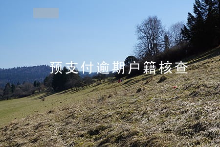 预支付逾期户籍核查 预支付逾期户籍核查
