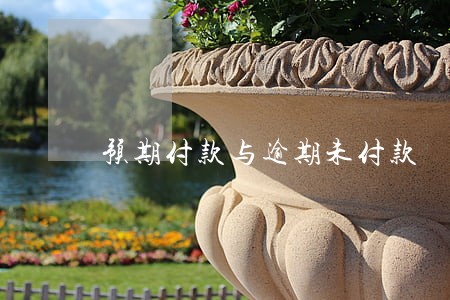 预期付款与逾期未付款