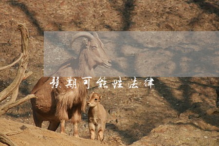 预期可能性法律 预期可能性法律
